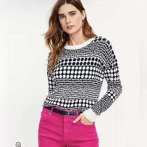 LOFT Heart Dot Crewneck Sweater Size Small Whisper White Navy NWT Cute Comfy